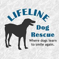 Lifeline Dog Rescue